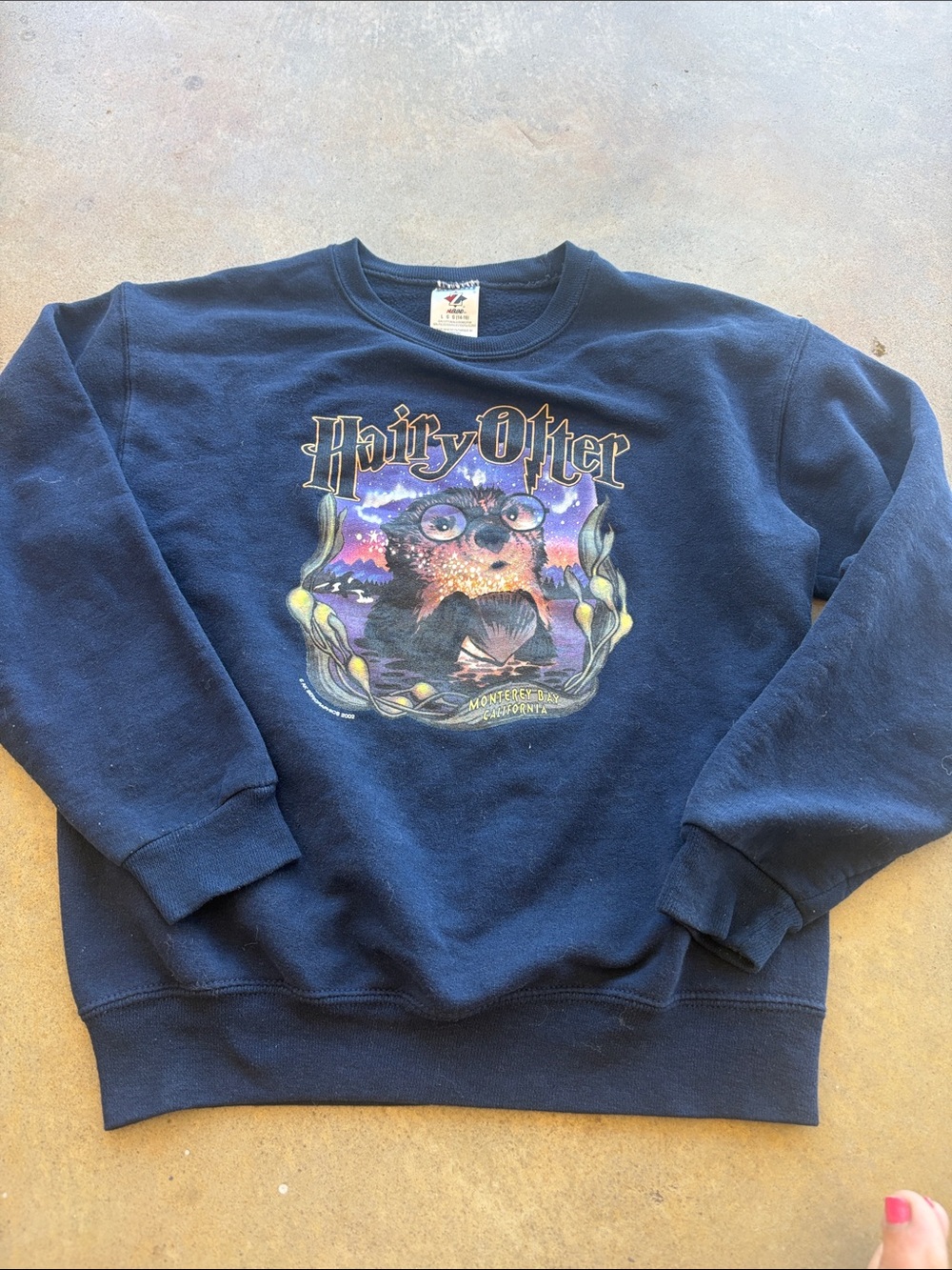 ⭐️5 for $20⭐️ Navy Hairy Otter 🦦 Graphic Crewneck Sweatshirt
